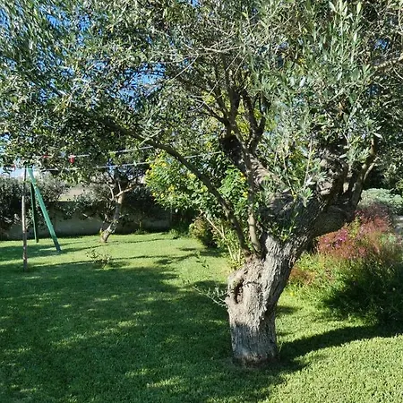 Residenza Arcangela Con Piscine Nel Salento *